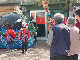 Owl Image
