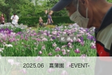 ６月　菖蒲園